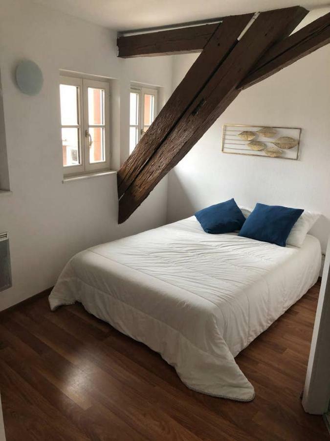 Appartement Avec Balcon Centre Ville Štrasburk Exteriér fotografie